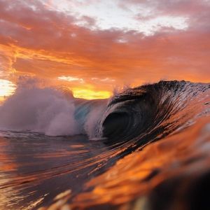 Meet your Posher, Iva